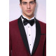 Burgundy Shawl Lapel Sparkly Men Tuxedo Jacket - Chadrobe